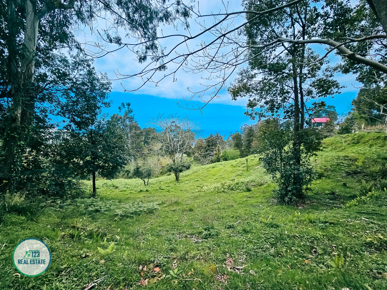 Terreno en Batumi, Georgia, 5 120 m² - imagen 4