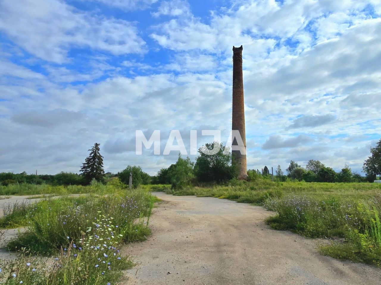 Land Mezotne, Latvia, 98 300 m² - picture 3