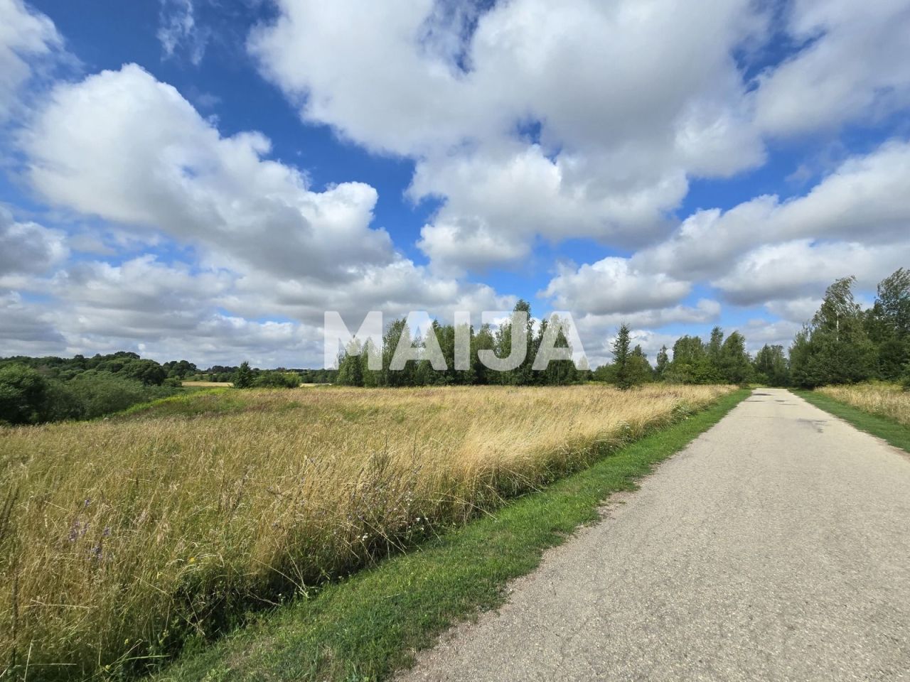 Land Mezotne, Latvia, 98 300 m² - picture 4