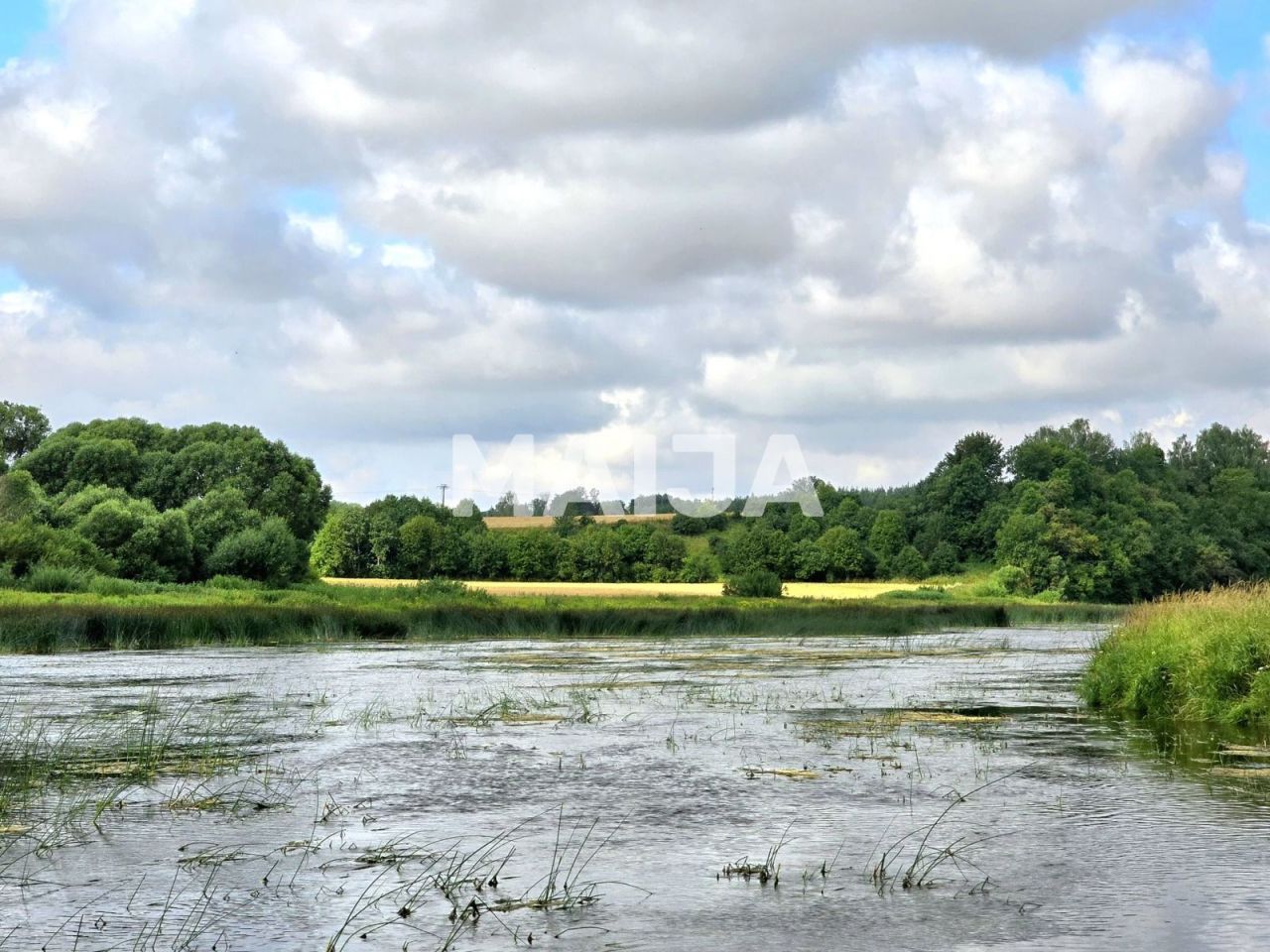 Land Mezotne, Latvia, 98 300 m² - picture 5