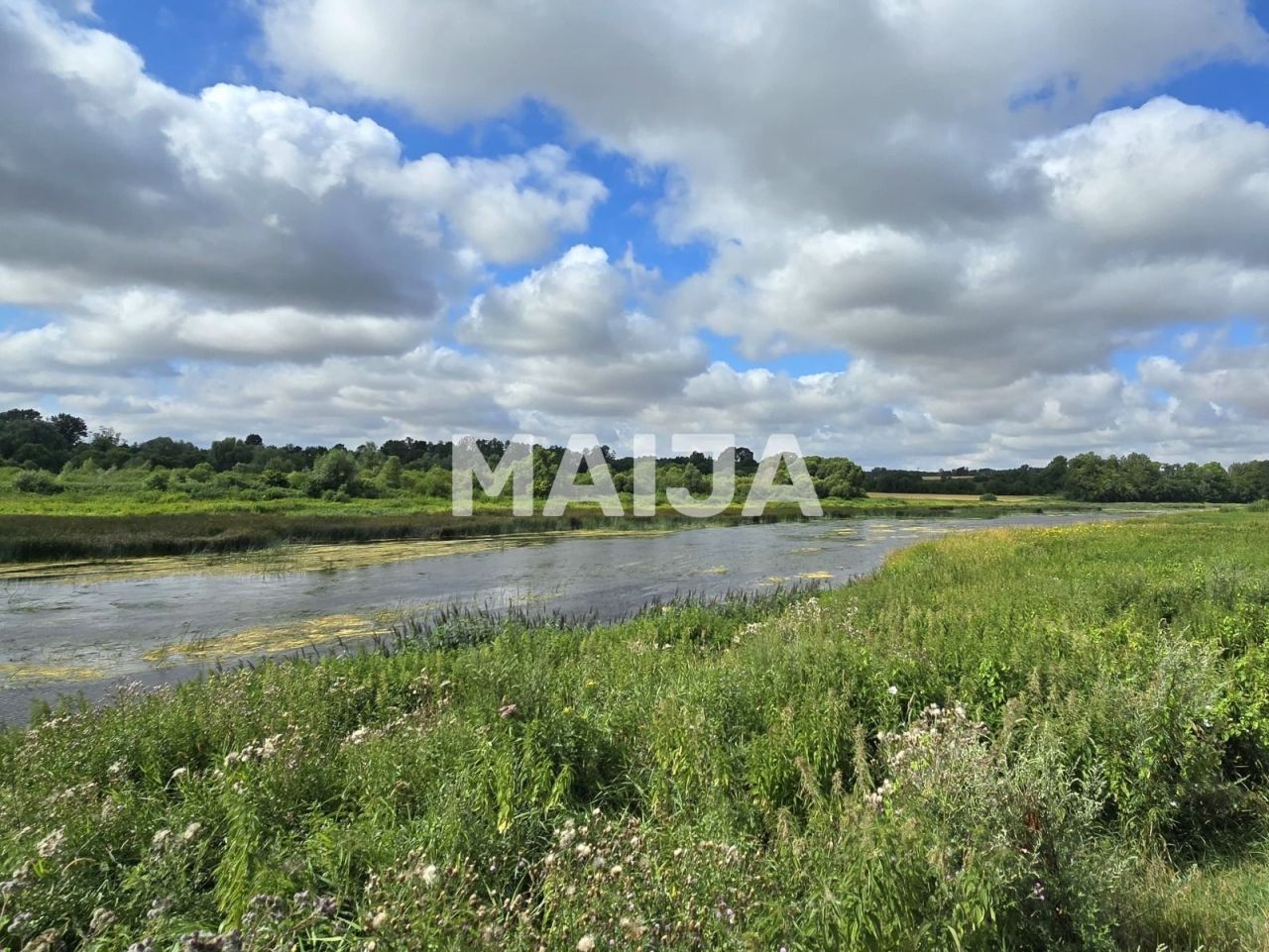 Land Mezotne, Latvia, 98 300 m² - picture 6