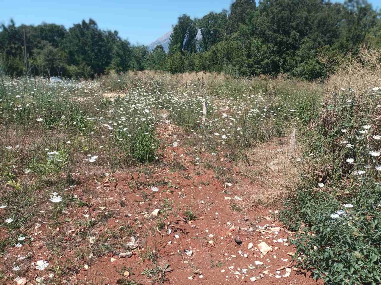 Casa a Bar, Montenegro, 75 m² - foto 11