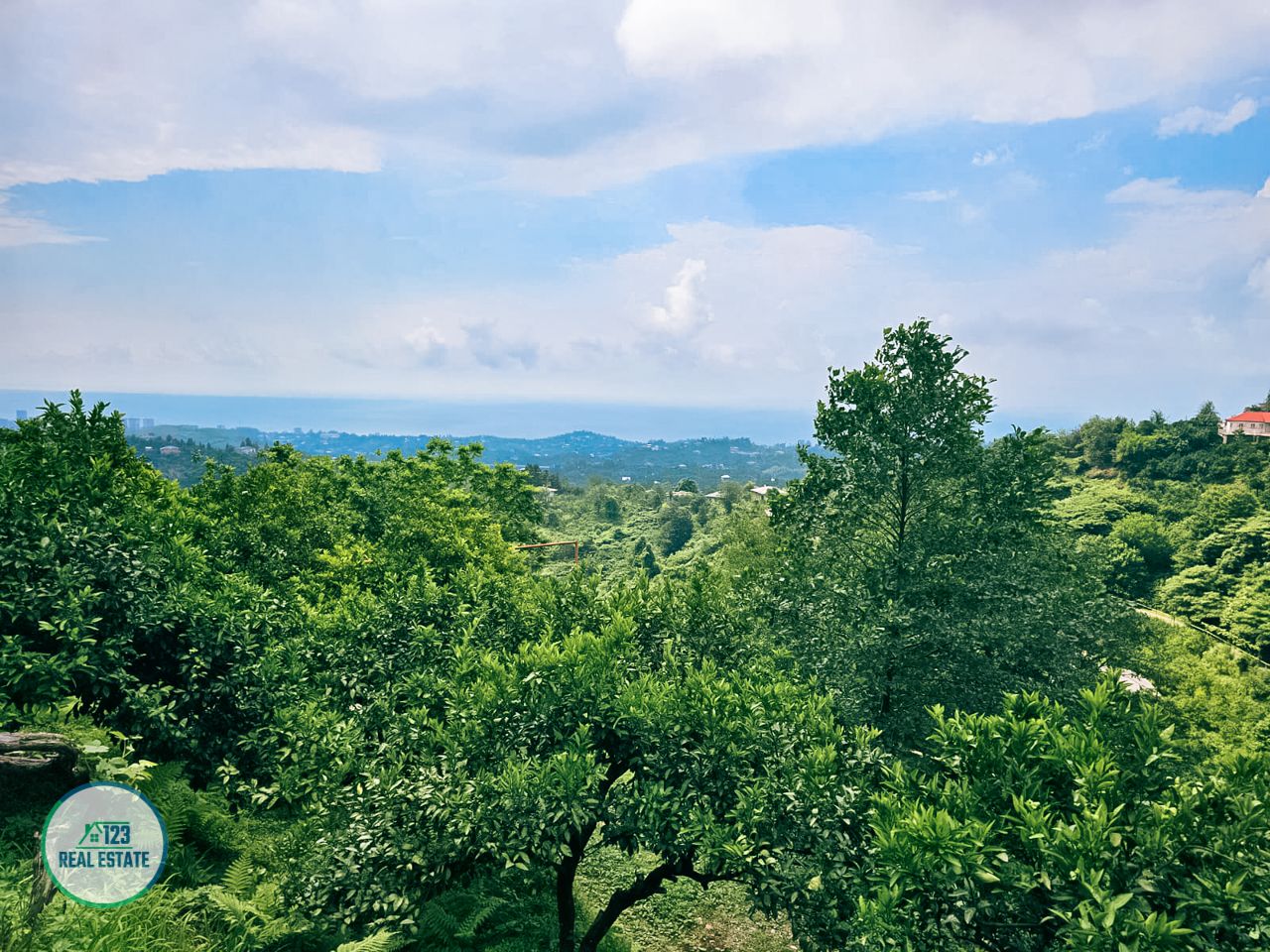 Land in Batumi, Georgia, 2 414 m² - picture 10