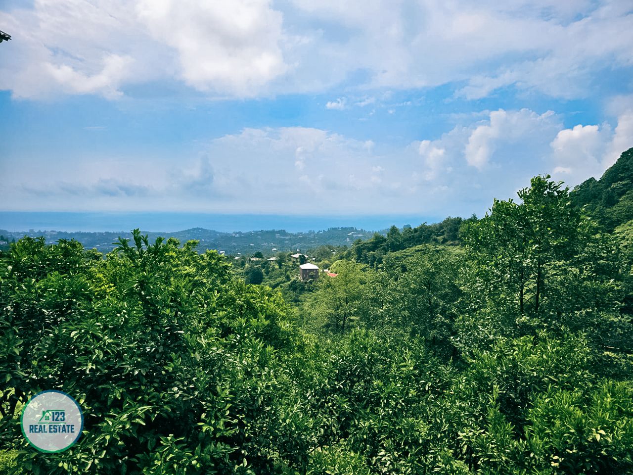 Land in Batumi, Georgia, 2 414 m² - picture 4