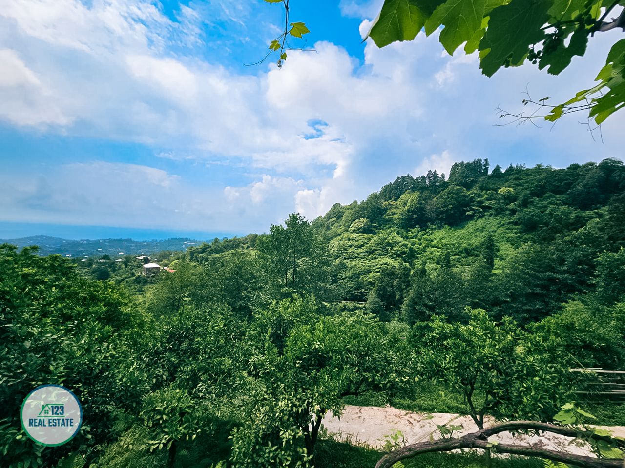 Land in Batumi, Georgia, 2 414 m² - picture 2