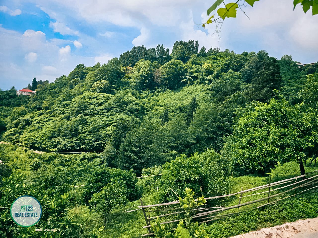 Land in Batumi, Georgia, 2 414 m² - picture 9