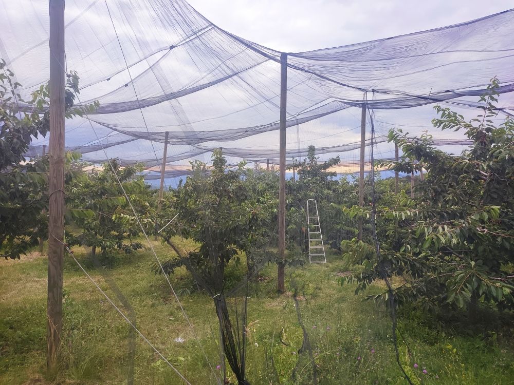 Terreno en Nikšić, Montenegro, 8 455 m² - imagen 4