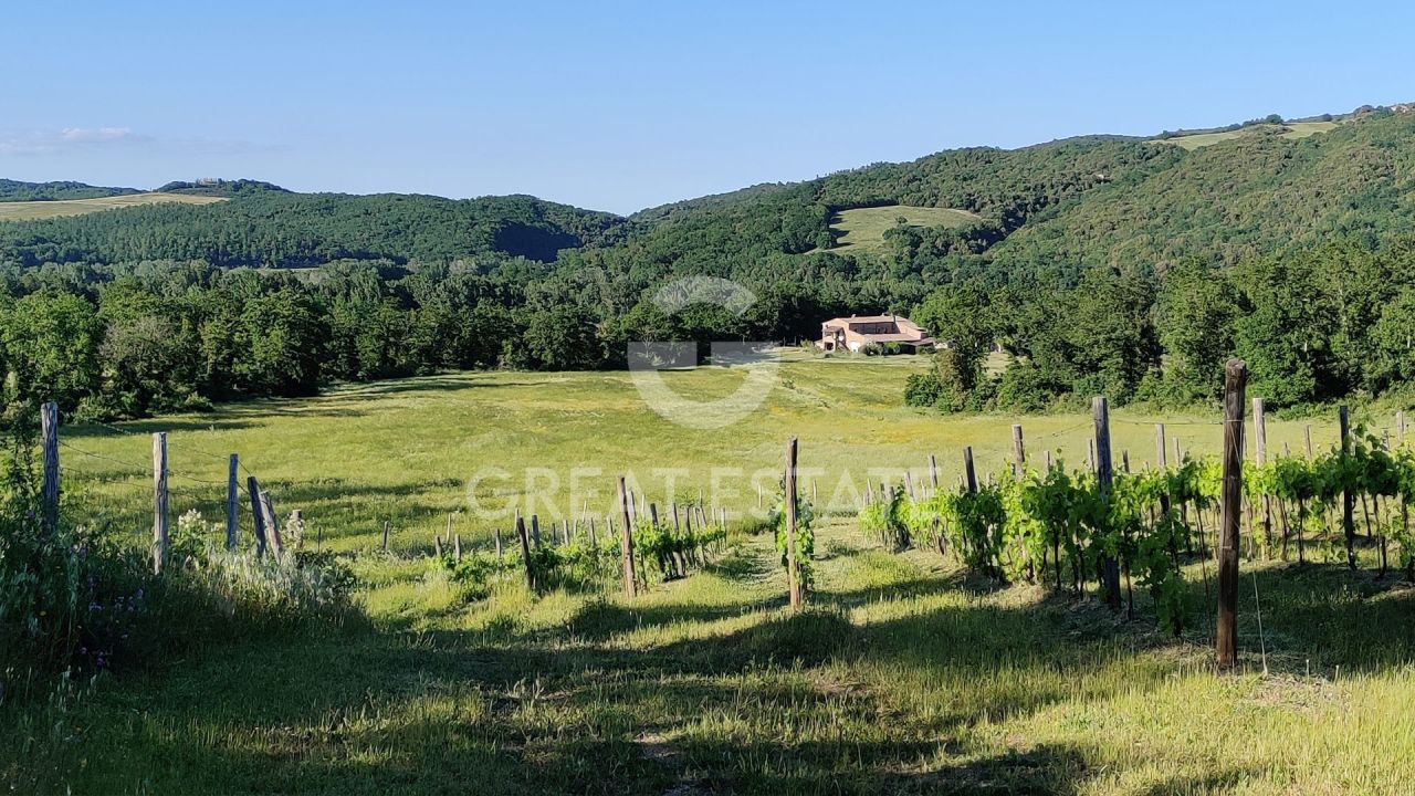 Maison Civitella Paganico, Italie, 702.25 m² - image 2