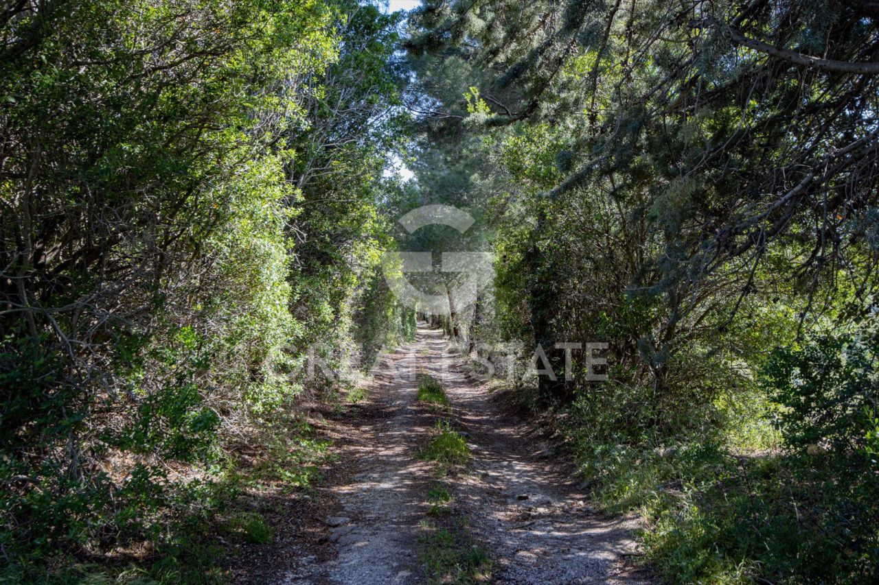 House Campagnatico, Italy, 218 m² - picture 4