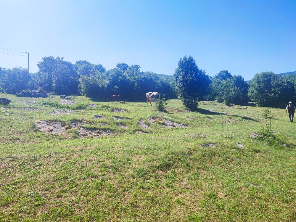 Terreno a Nikšić, Montenegro, 103 855 m2 - foto 3