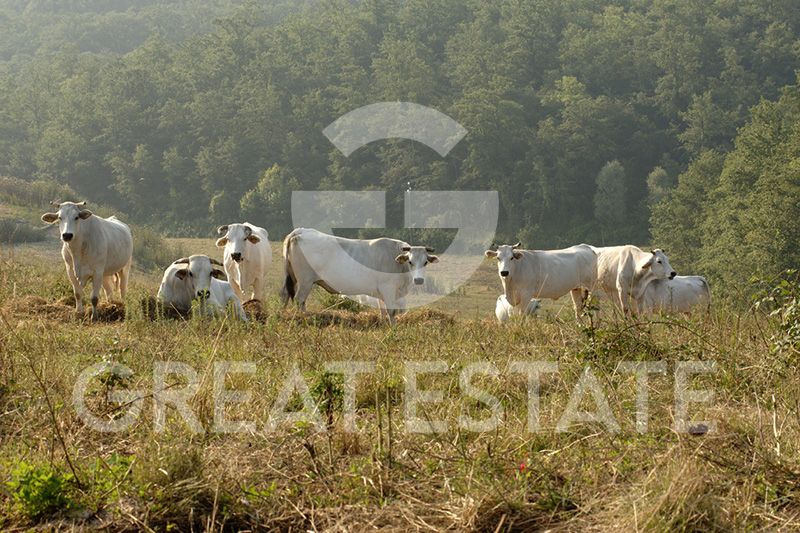 Hotel, albergo a Città della Pieve, Italia, 772 m² - foto 18