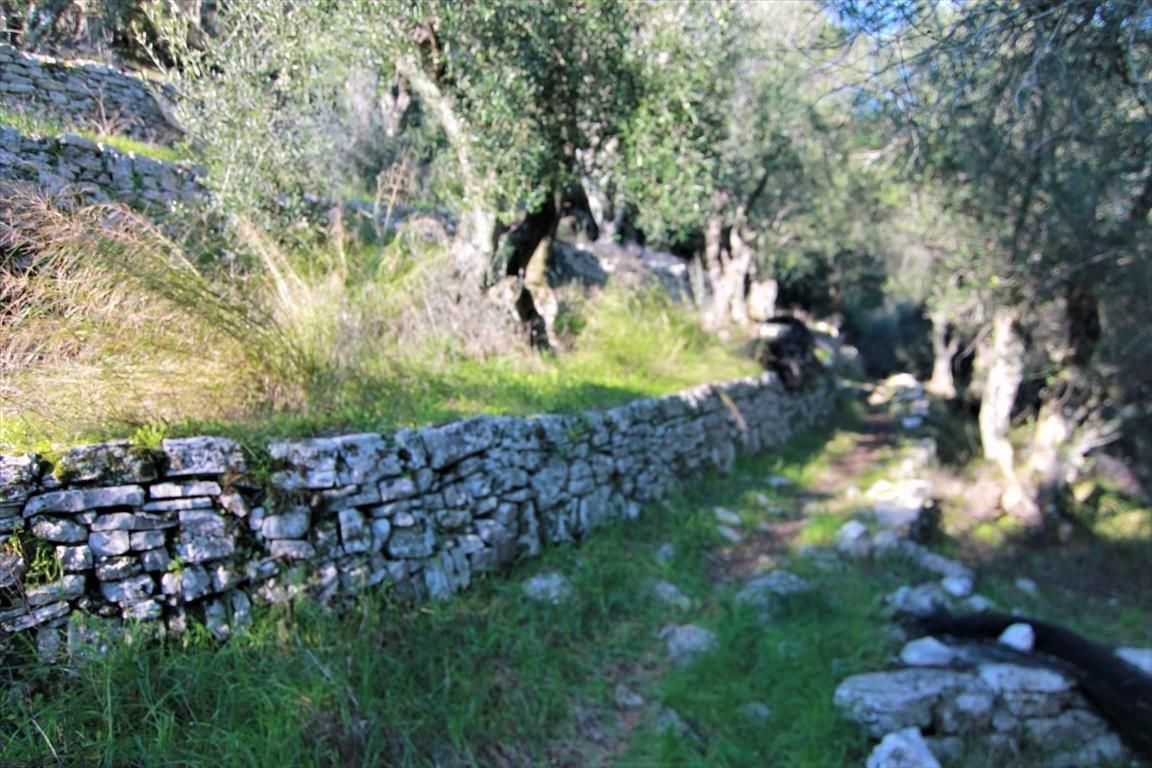 Terreno en Corfú, Grecia, 6 000 m² - imagen 9