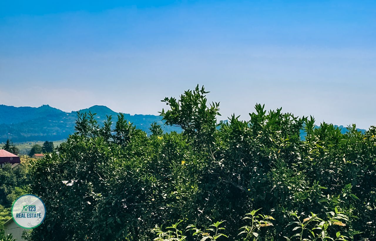 Terrain à Batoumi, Géorgie, 5 641 m² - image 17