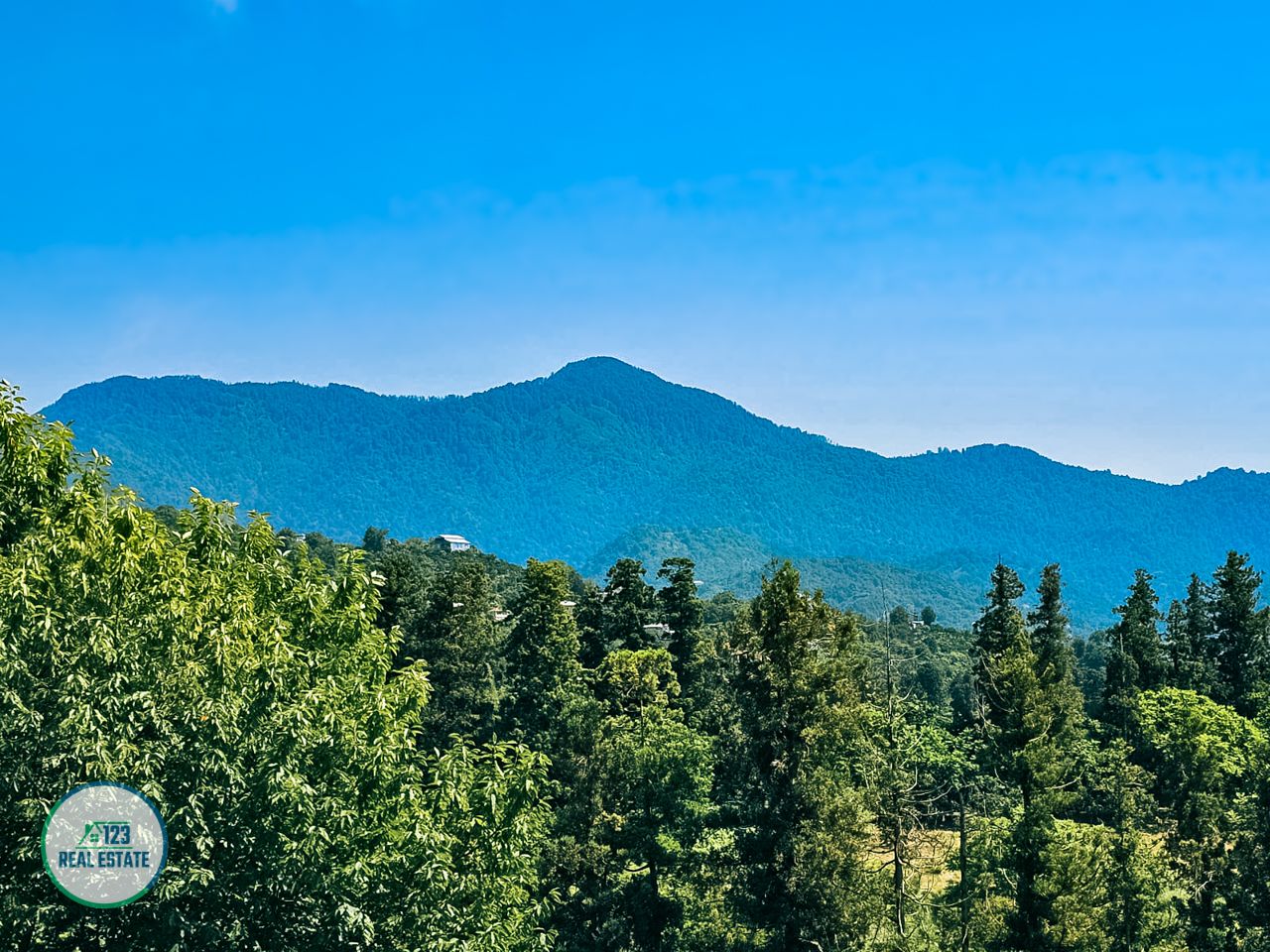 Terrain à Batoumi, Géorgie, 5 641 m² - image 15