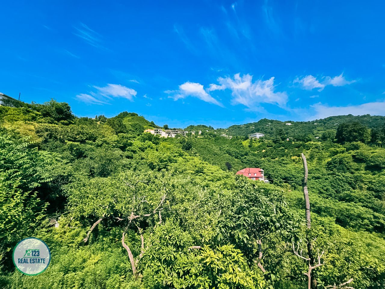 Terrain à Batoumi, Géorgie, 5 641 m² - image 12