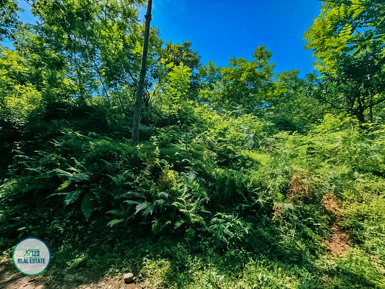 Terrain à Batoumi, Géorgie, 5 641 m² - image 5