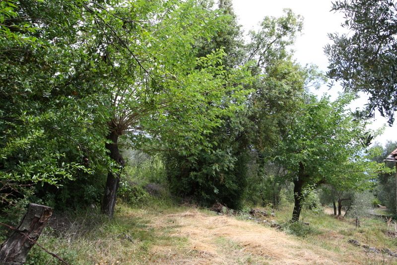 Grundstück in Herceg-Novi, Montenegro, 1 000 m² - Foto 3