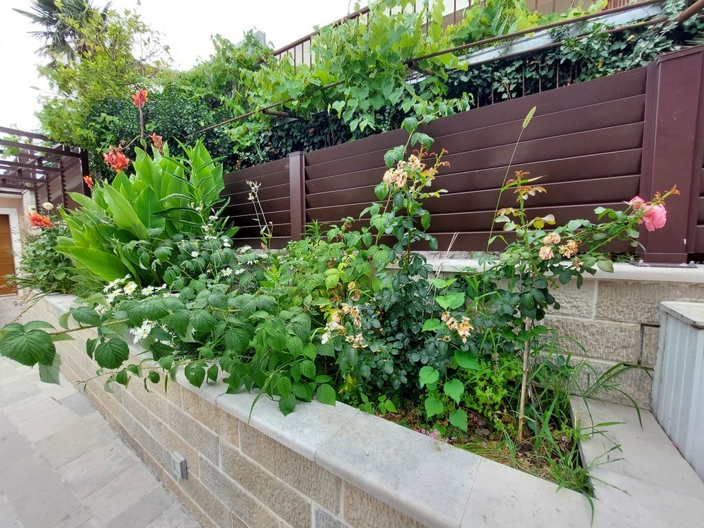 Villa in Denovici, Montenegro, 239 m² - picture 6