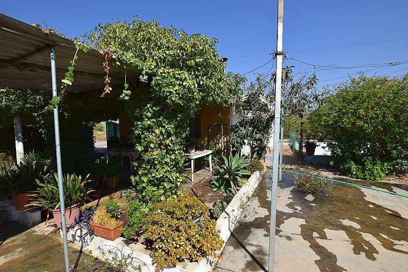 Cottage a Albatera, Spagna, 100 m² - foto 19