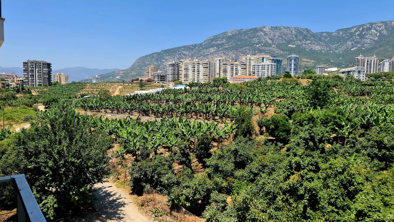 Flat in Alanya, Turkey, 50 m² - picture 9