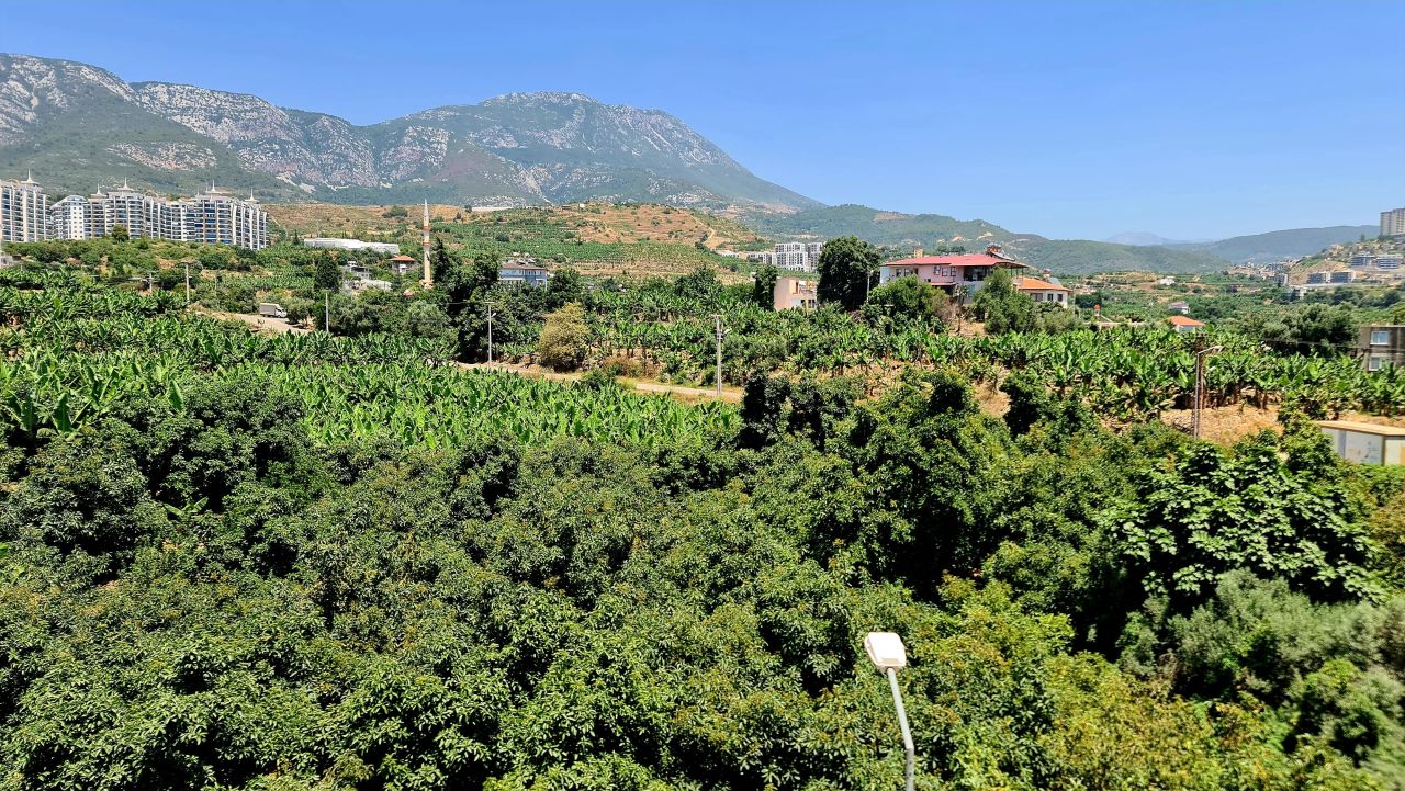 Flat in Alanya, Turkey, 50 m² - picture 10