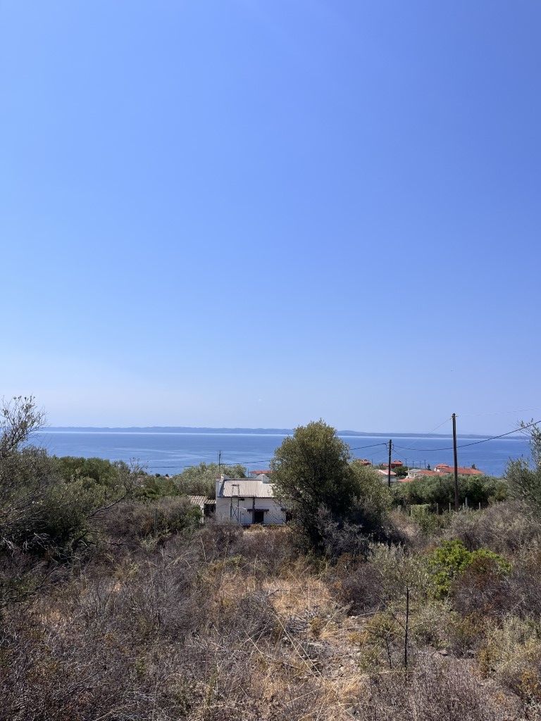 Land in Poligiros, Greece, 8 000 m² - picture 2