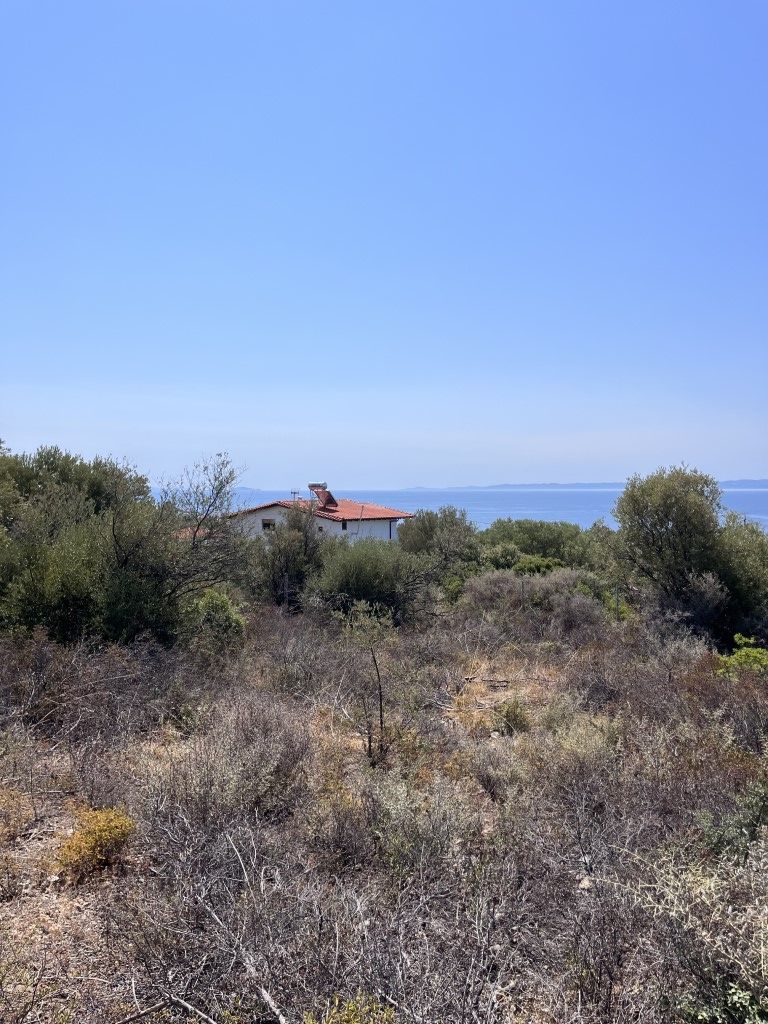 Land in Poligiros, Greece, 8 000 m² - picture 3