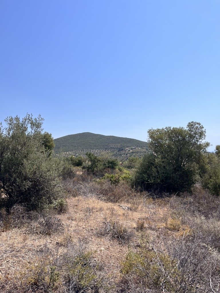 Land in Poligiros, Greece, 8 000 m² - picture 4