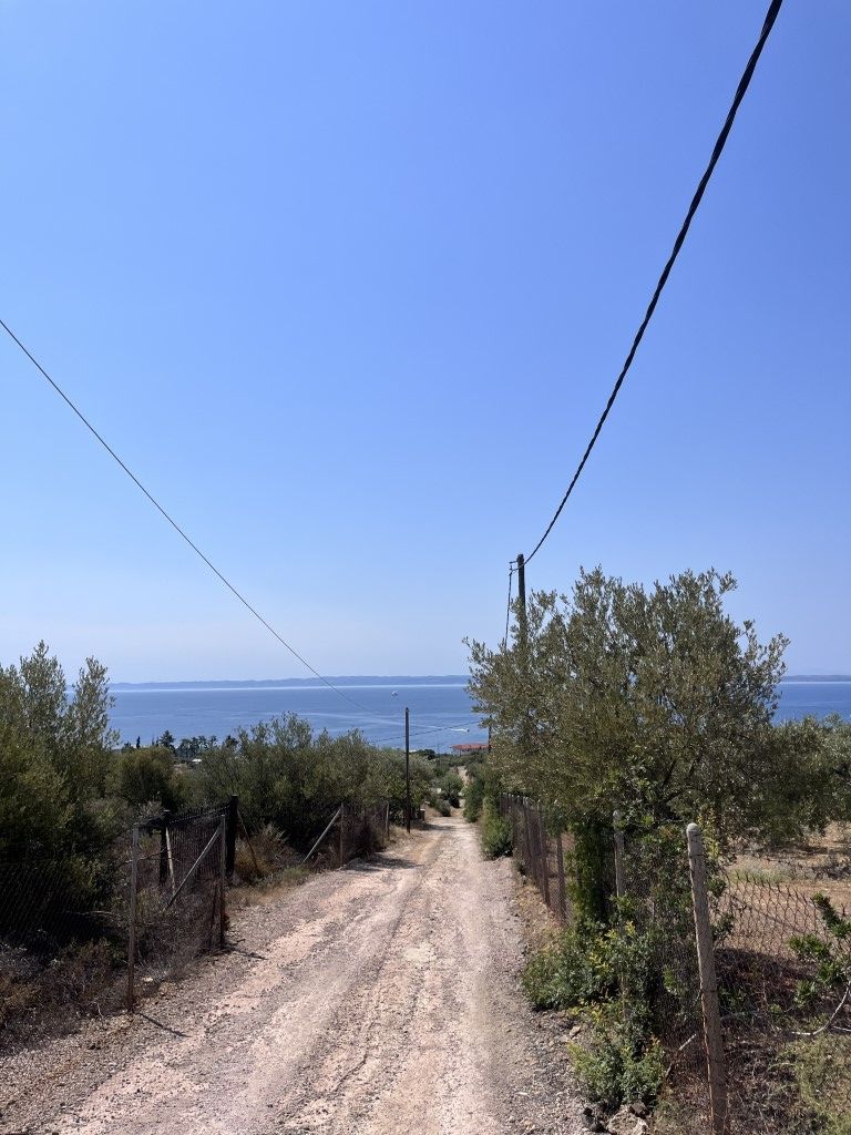 Land in Poligiros, Greece, 8 000 m² - picture 5