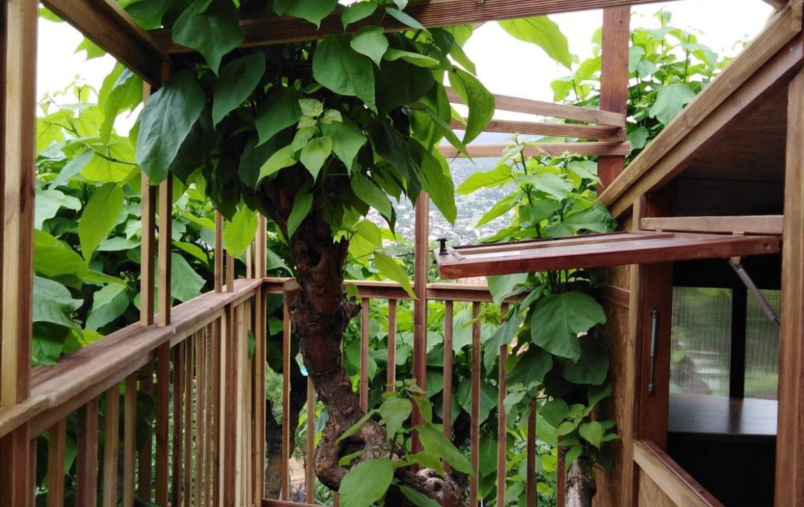 Cottage in Kavala, Griechenland, 250 m² - Foto 14