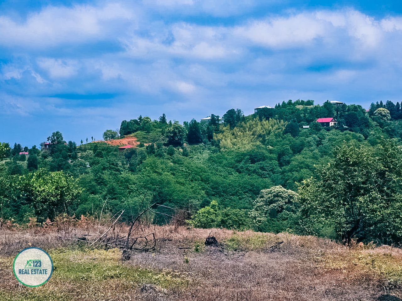 House in Batumi, Georgia, 200 m² - picture 8