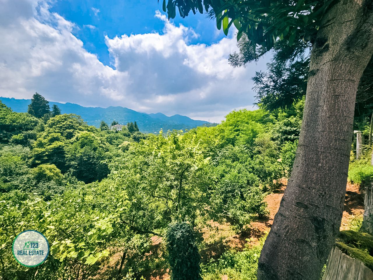 House in Batumi, Georgia, 200 m² - picture 3