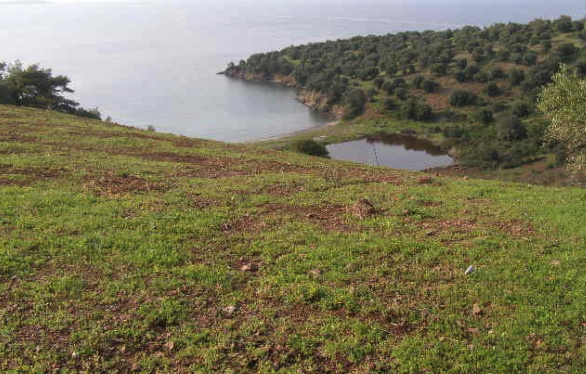 Grundstück in Chalkidiki, Griechenland, 13 380 m² - Foto 4