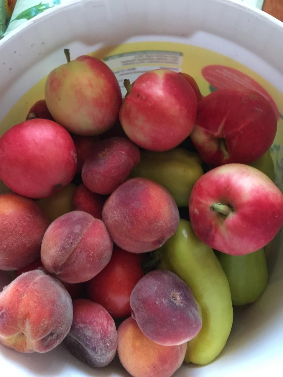 Haus in Györ, Ungarn, 240 m² - Foto 4