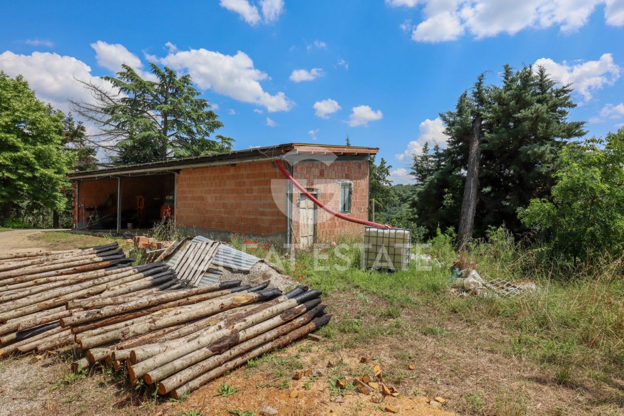 House in Asciano, Italy, 446 m² - picture 4