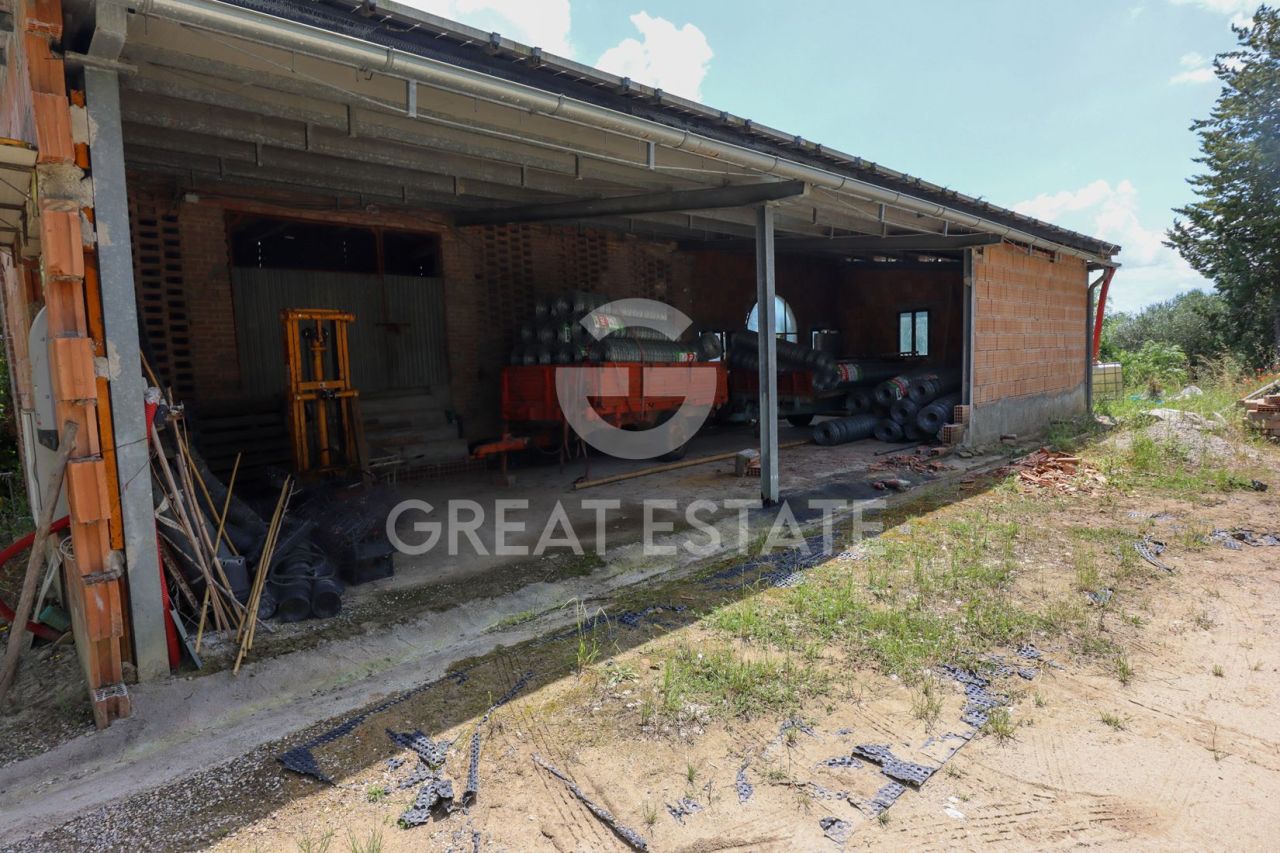 House in Asciano, Italy, 446 m² - picture 6