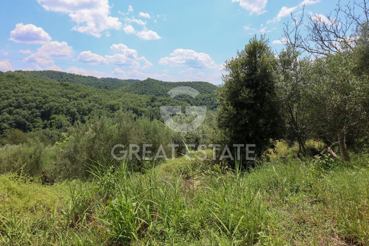 House in Asciano, Italy, 446 m² - picture 8