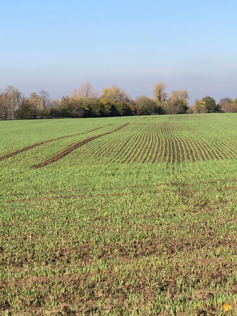 Granja Nagyszentjános, Hungría, 1 073 952 m² - imagen 3