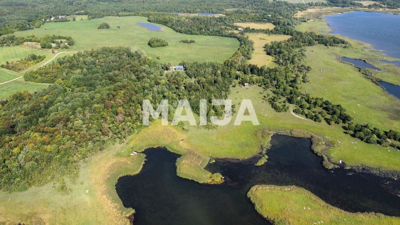 Land on Saaremaa, Estonia - picture 1