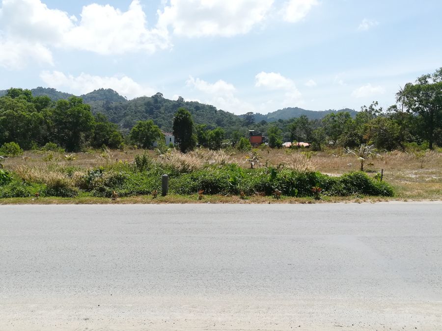 Land on Kamala, Thailand, 36 016 m² - picture 6