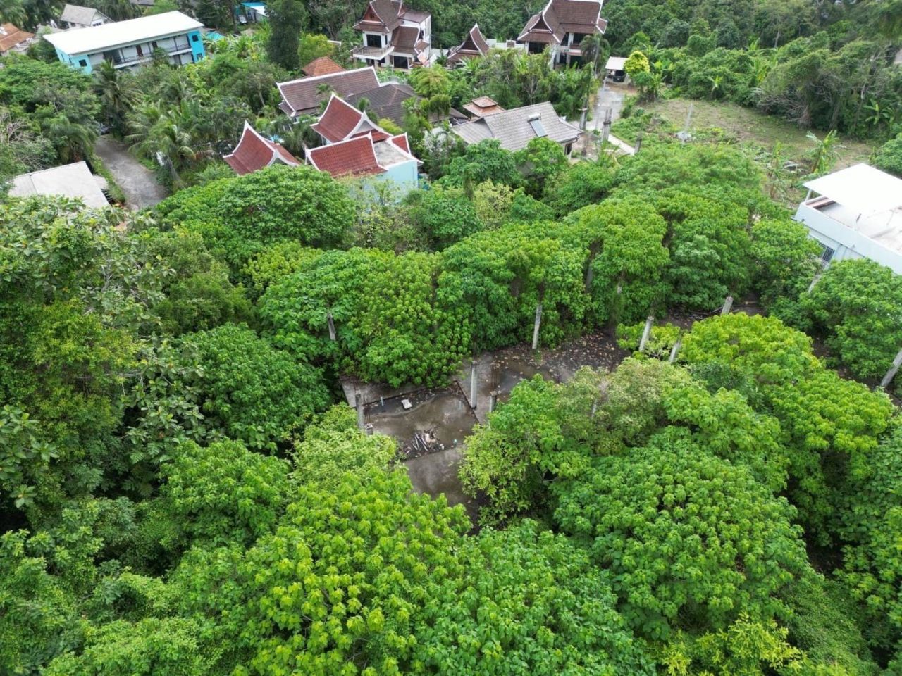 Grundstück in Kamala, Thailand, 2 184 m² - Foto 1