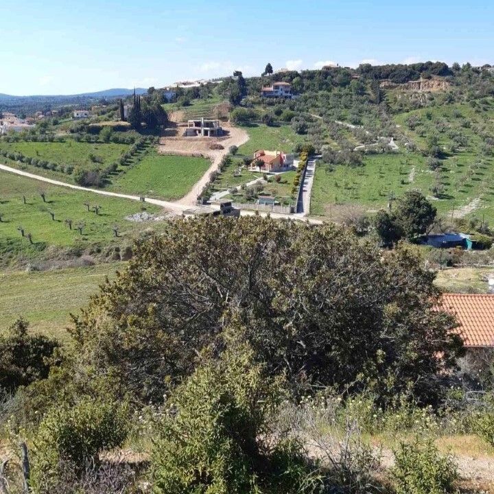 Terrain en Sithonie, Grèce, 2 233 m² - image 5