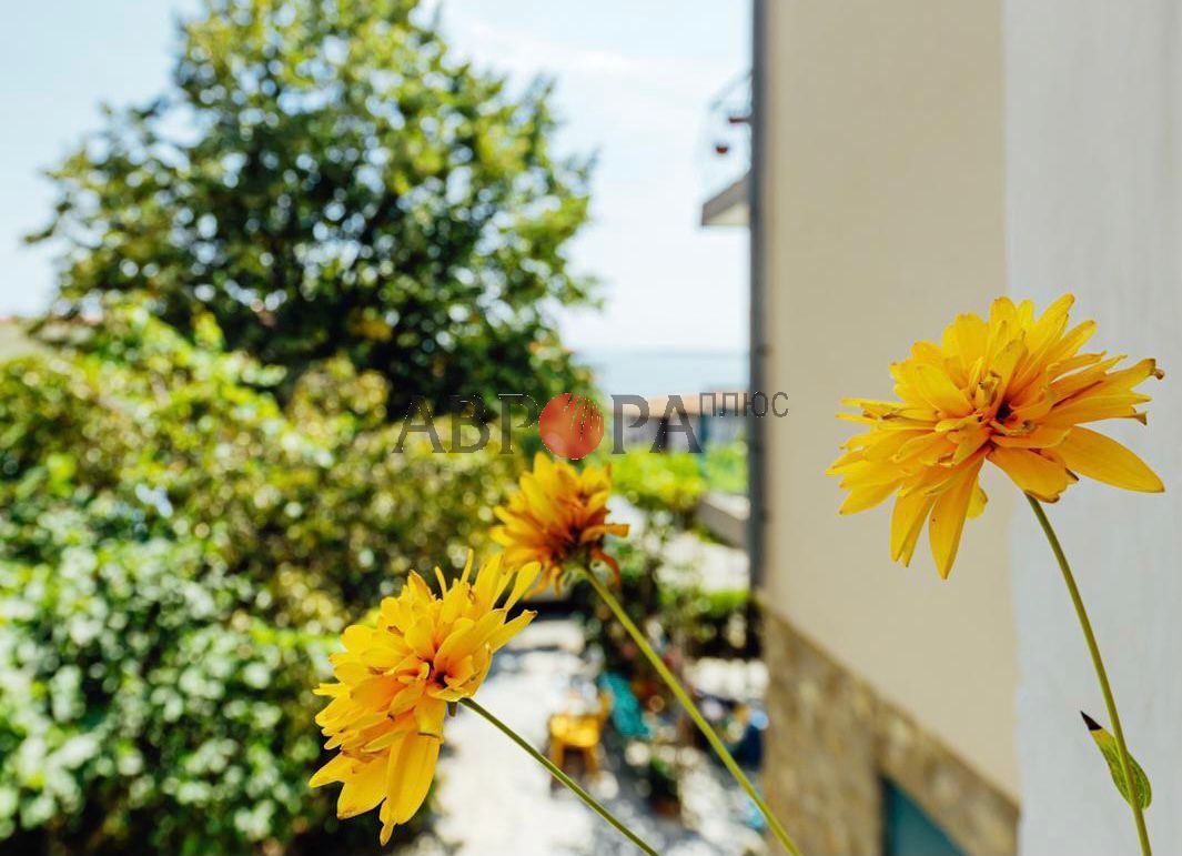 Maison à Sveti Vlas, Bulgarie, 110 m² - image 7