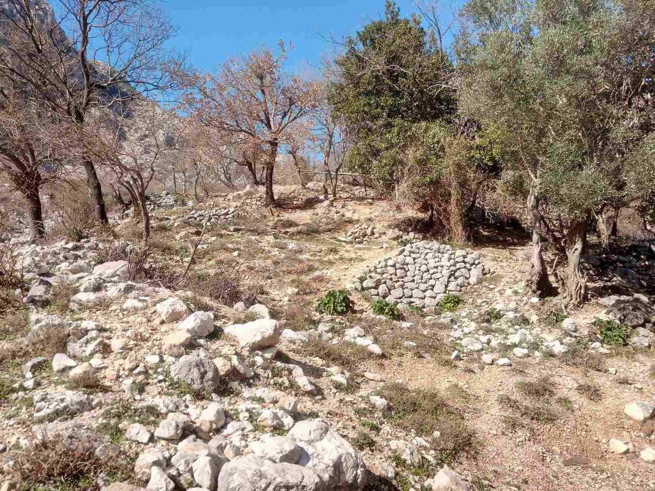 Land in Kotor, Montenegro, 9 561 m² - picture 3