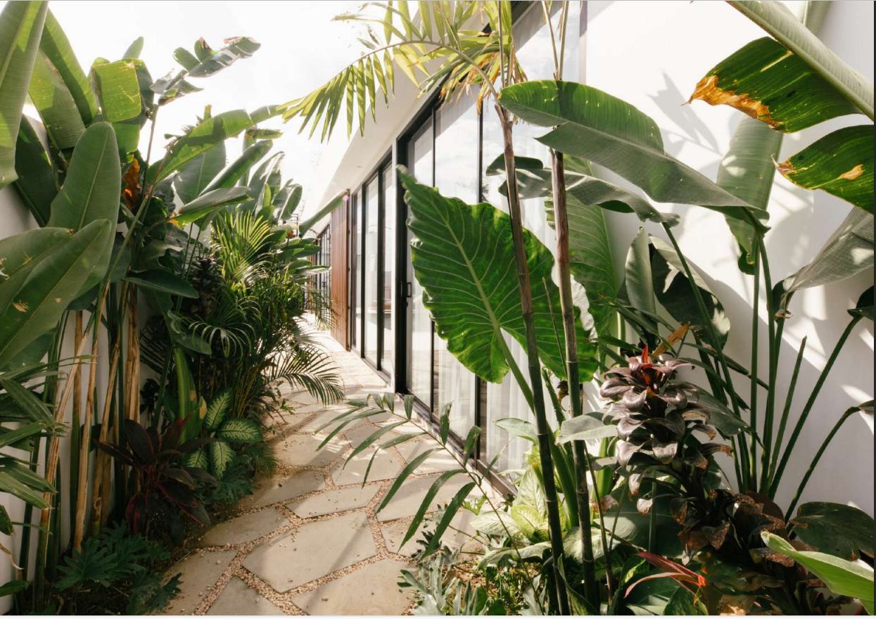 Villa in Denpasar, Indonesia, 183 m² - picture 5