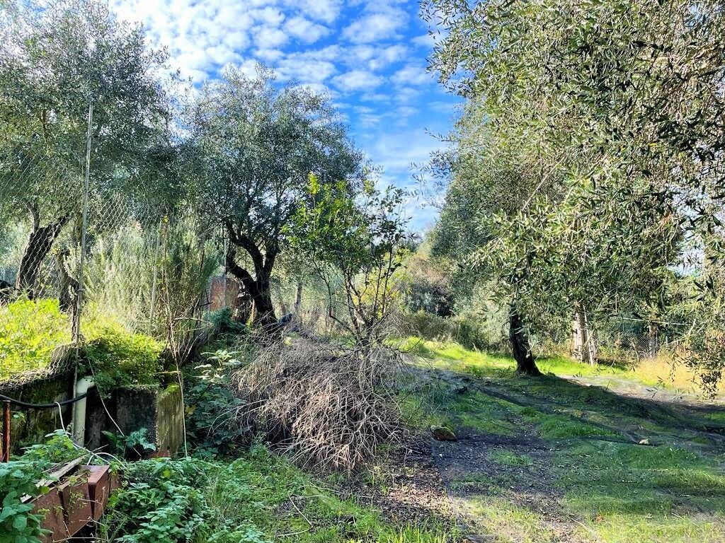 Maison à Corfou, Grèce, 190 m² - image 15