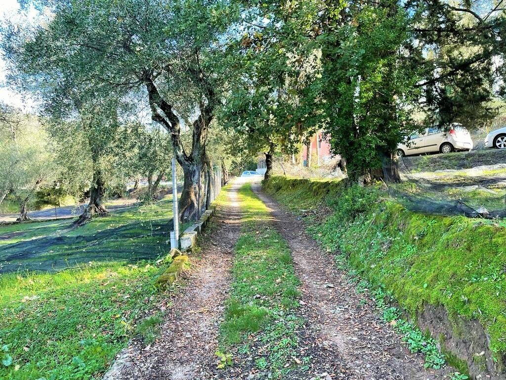 Maison à Corfou, Grèce, 190 m² - image 16