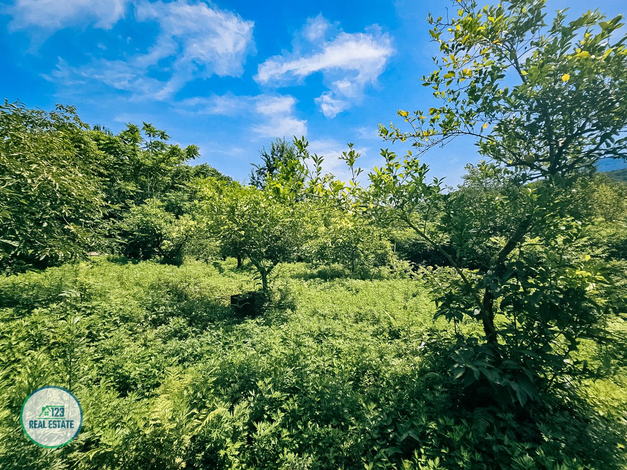 Haus in Batumi, Georgien, 250 m² - Foto 16