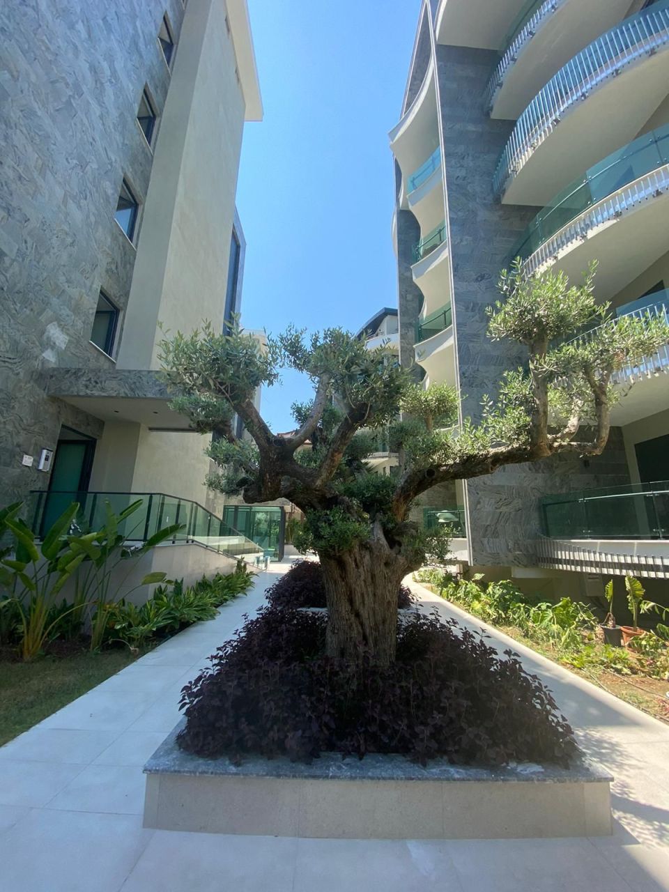 Appartamento a Alanya, Turchia, 57 m² - foto 14