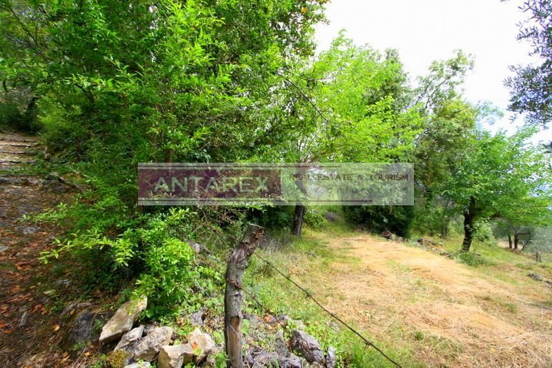 Terrain à Herceg-Novi, Monténégro, 1 000 m² - image 3